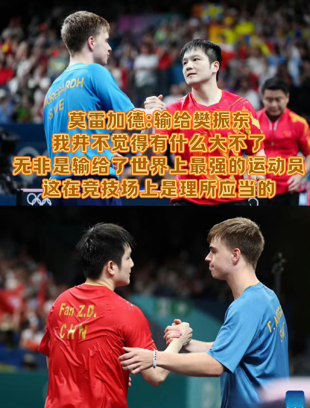 爱游戏入口-瑞典队碾压德国队，樊振东关键制胜