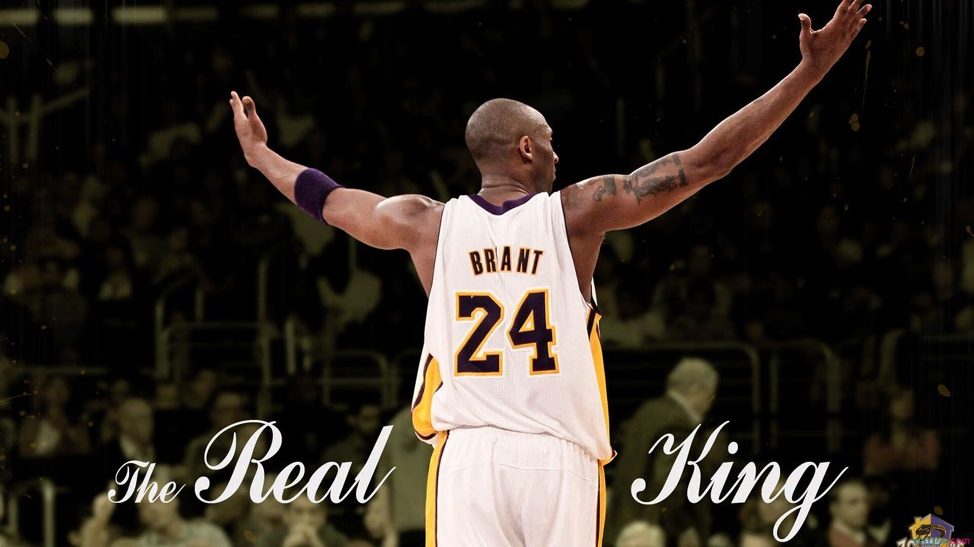 爱游戏体育-F1新赛季揭幕战之夜，英格拉姆刷新纪录，速度与激情的双重盛宴